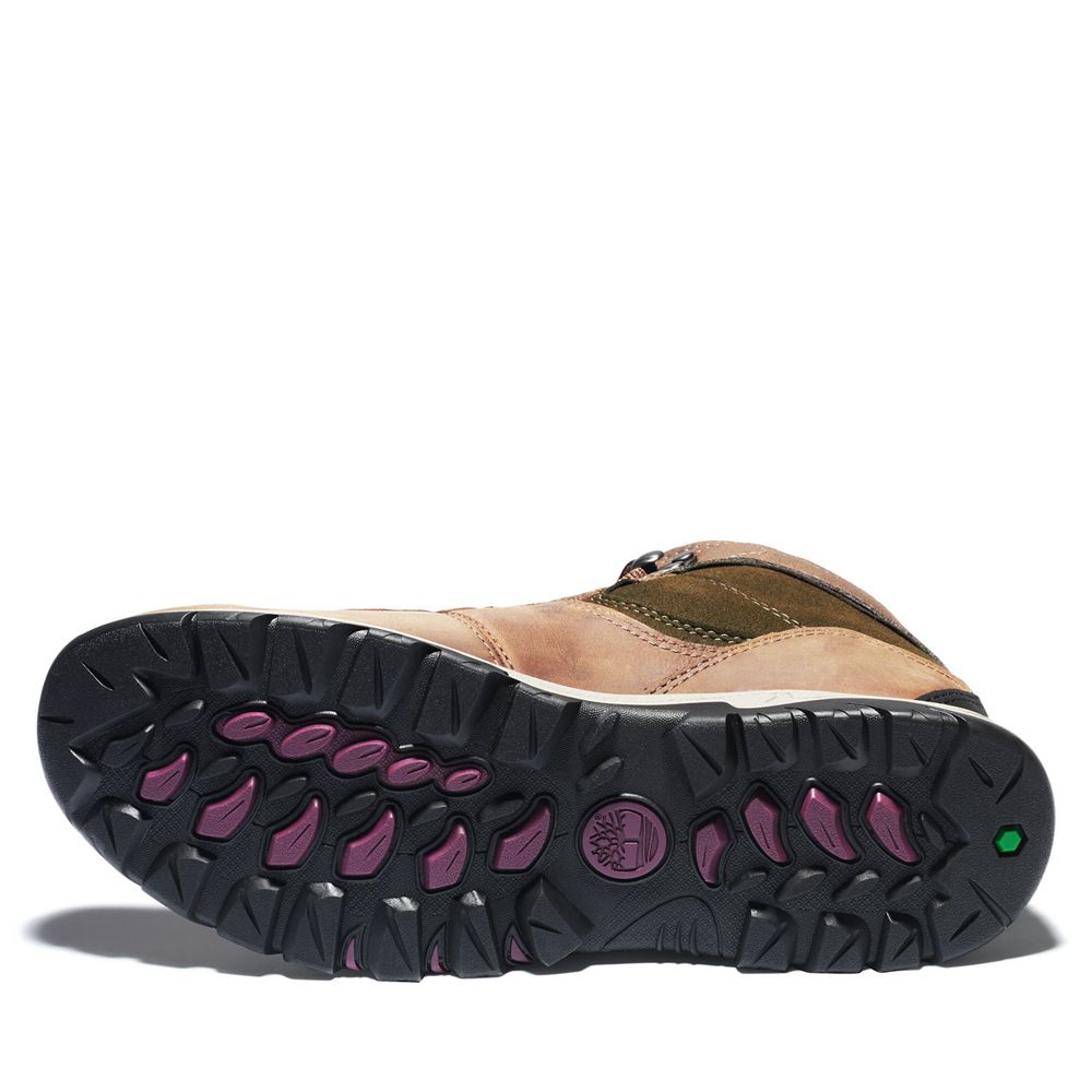 Botas de Caminhada Feminino - Timberland Mt. Maddsen Mid Impermeavel - EIQNG8064 - Marrom